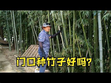 家裡可以種竹子嗎|竹子盆栽照顧祕訣，讓你的植物蓬勃生長！ 